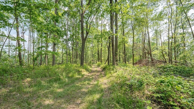 0 Cox Rd, Logan, OH 43138 - photo 67