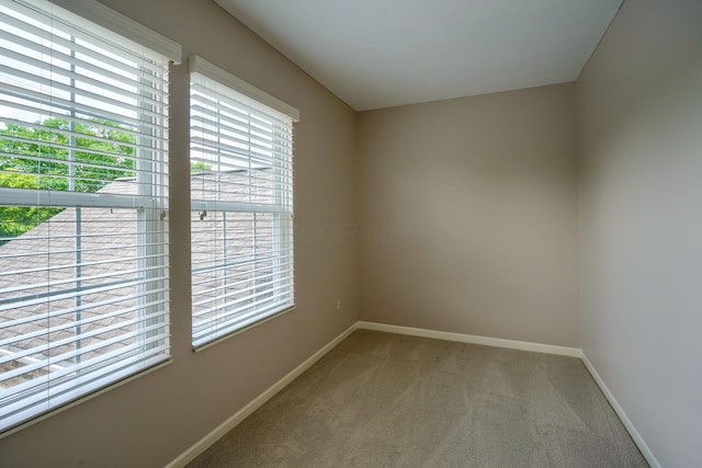 1013 Bluff Crest Dr, Columbus, OH 43235 - spare room featuring healthy amount of natural light and carpet flooring