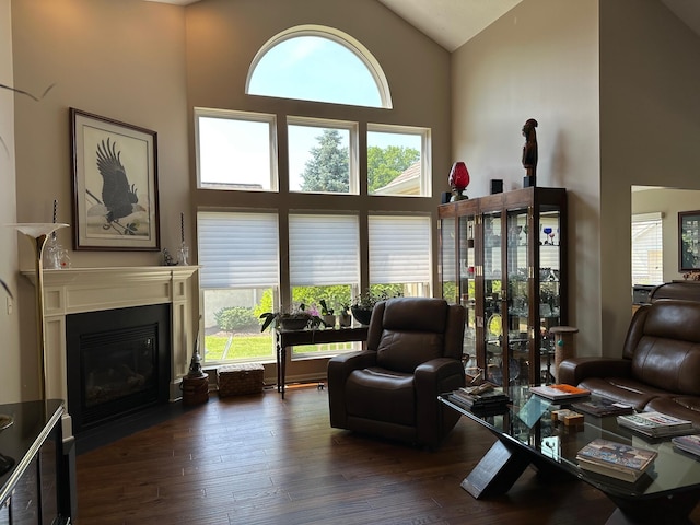 1013 Bluff Crest Dr, Columbus, OH 43235 - living area featuring high vaulted ceiling, hardwood / wood-style flooring, and a fireplace with flush hearth