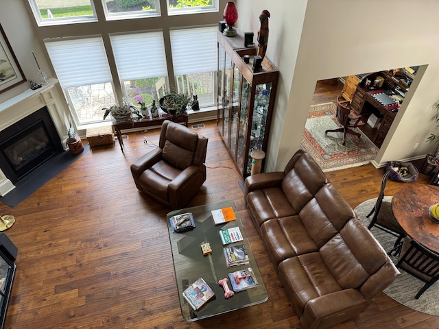 1013 Bluff Crest Dr, Columbus, OH 43235 - living room featuring hardwood / wood-style flooring, healthy amount of natural light, a glass covered fireplace, and a high ceiling