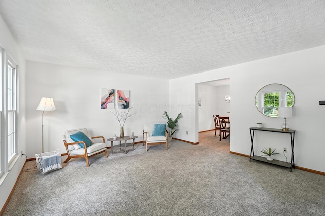 526 Springwood Lake Dr, Columbus, OH 43230 - living area with carpet and a textured ceiling