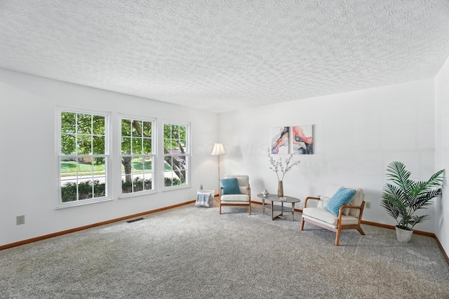 526 Springwood Lake Dr, Columbus, OH 43230 - sitting room featuring carpet flooring and a textured ceiling
