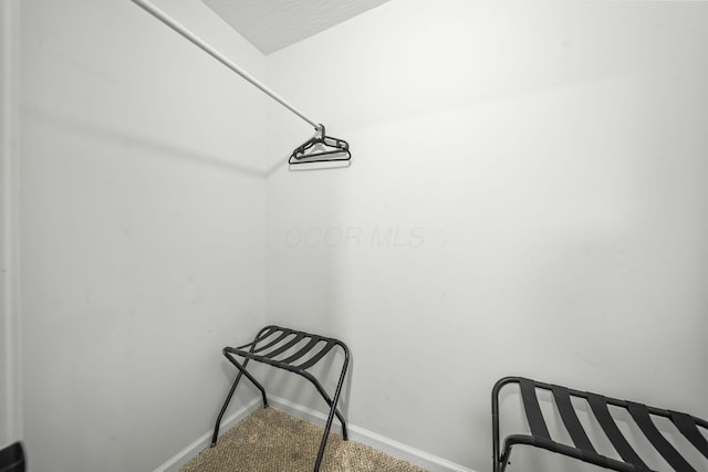 1815 Union St, Lancaster, OH 43130 - walk in closet with carpet floors