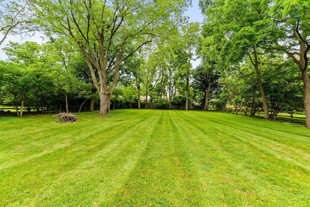 1054 Highland Dr, Columbus, OH 43220 - view of yard with view of wooded area