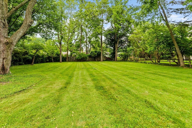 1054 Highland Dr, Columbus, OH 43220 - view of yard