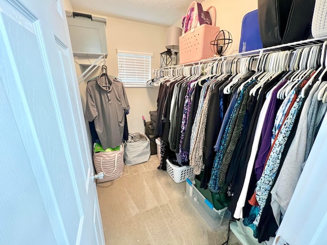 6871 Manor Crest Ln, Canal Winchester, OH 43110 - spacious closet with carpet