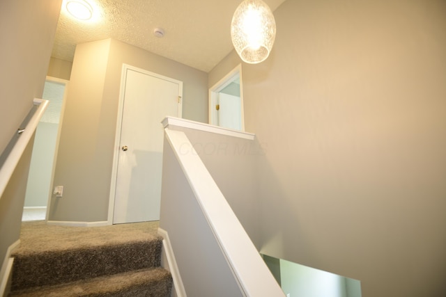 3565 Motts Place Ct, Canal Winchester, OH 43110 - stairway featuring carpet floors and a textured ceiling
