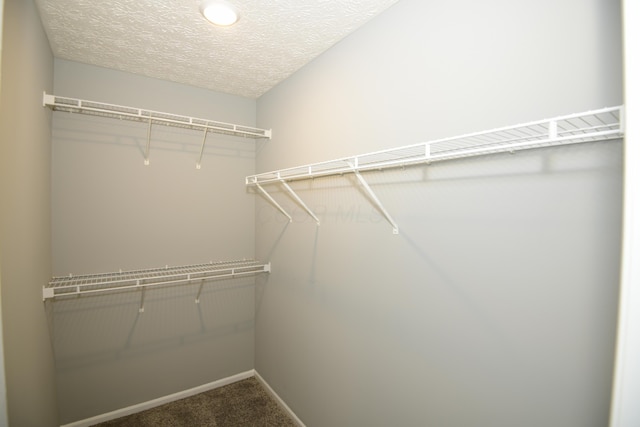 3565 Motts Place Ct, Canal Winchester, OH 43110 - spacious closet with carpet flooring