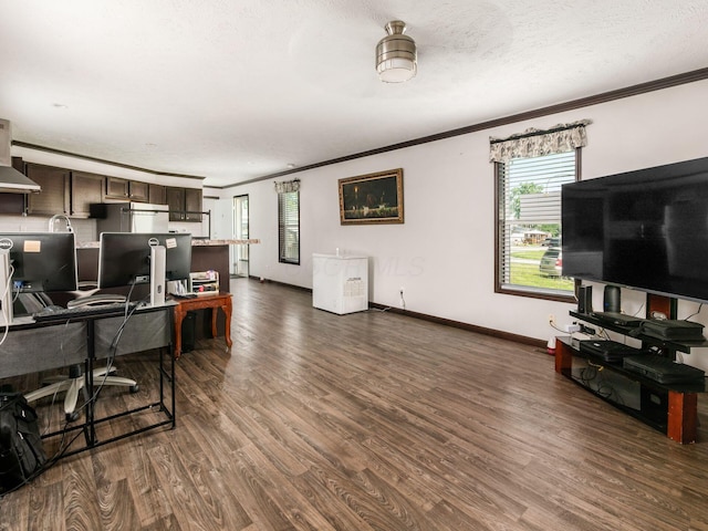 10610 E State Route 762 Unit 74B, Lockbourne, OH 43137 - living area with ornamental molding, dark wood finished floors, and a desk