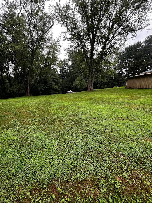 9894 Salem Hollow Rd, New Straitsville, OH 43766 - photo 7