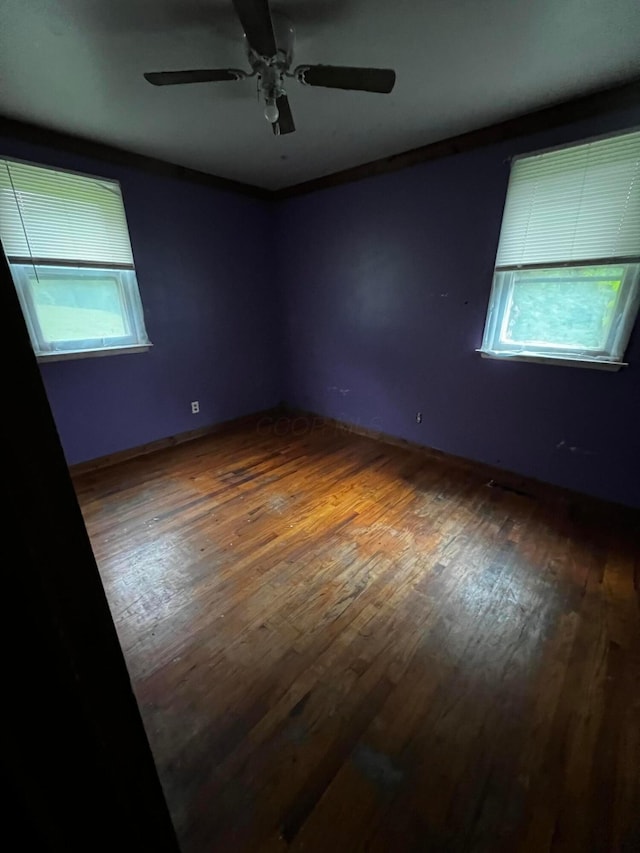 9894 Salem Hollow Rd, New Straitsville, OH 43766 - photo 11