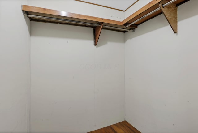264 Timberline Dr, Circleville, OH 43113 - walk in closet with dark wood-style floors