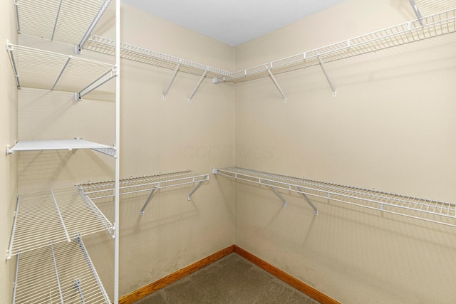 4775 Saint Andrews Dr, Westerville, OH 43082 - view of spacious closet