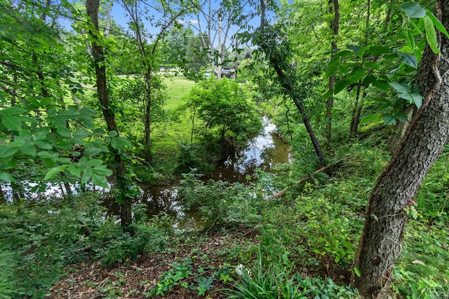 4775 Saint Andrews Dr, Westerville, OH 43082 - view of local wilderness