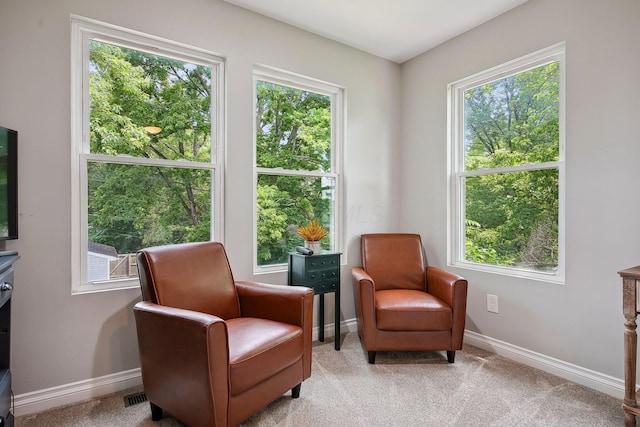 1366 Cole St, Columbus, OH 43205 - sitting room featuring carpet and plenty of natural light