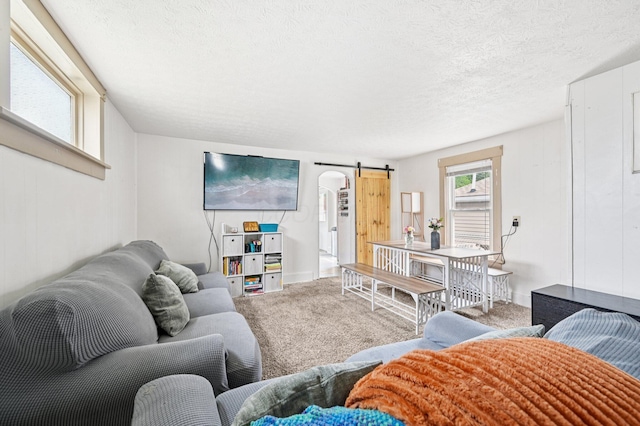 67 W Columbus St, Mount Sterling, OH 43143 - carpeted living room with a barn door and a textured ceiling