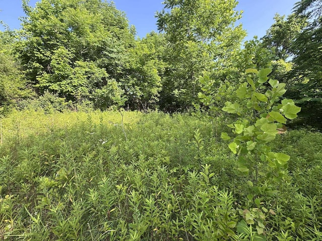 10170 Pierson Ln, Mcconnelsville, OH 43756 - photo 5