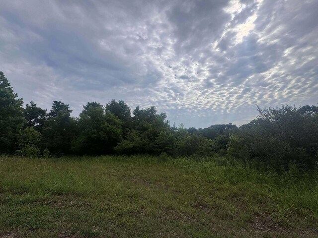 10170 Pierson Ln, Mcconnelsville, OH 43756 - photo 6