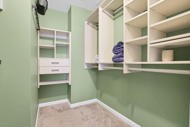 3117 Rivermill Dr Unit 25, Columbus, OH 43220 - walk in closet featuring carpet floors