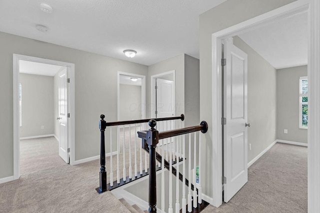 7035 Coffman Rd, Dublin, OH 43017 - photo 32