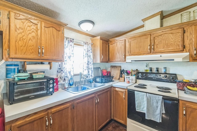 1609 Foraker Ave, Findlay, OH 45840 - kitchen featuring range with electric cooktop, under cabinet range hood, a textured ceiling, ornamental molding, and vaulted ceiling