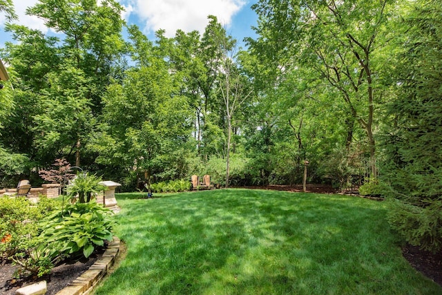 8629 Rutherford Estates Ct, Powell, OH 43065 - photo 41