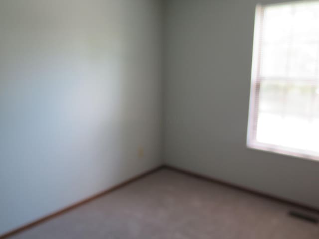 1753 Gardenstone Dr, Columbus, OH 43235 - photo 22