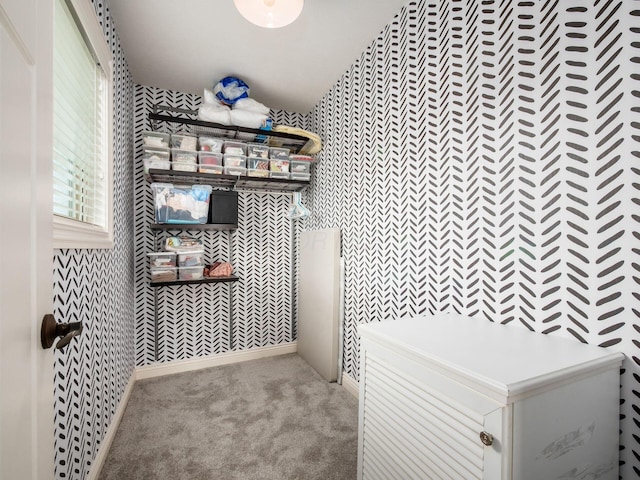 5808 Glendavon Loop, Dublin, OH 43016 - spacious closet with carpet flooring