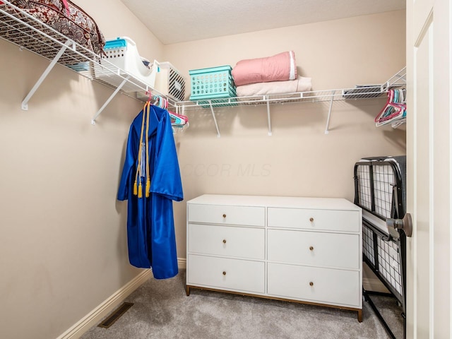 5808 Glendavon Loop, Dublin, OH 43016 - walk in closet with carpet