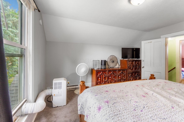 1236 Detroit St S, Bellefontaine, OH 43311 - photo 51
