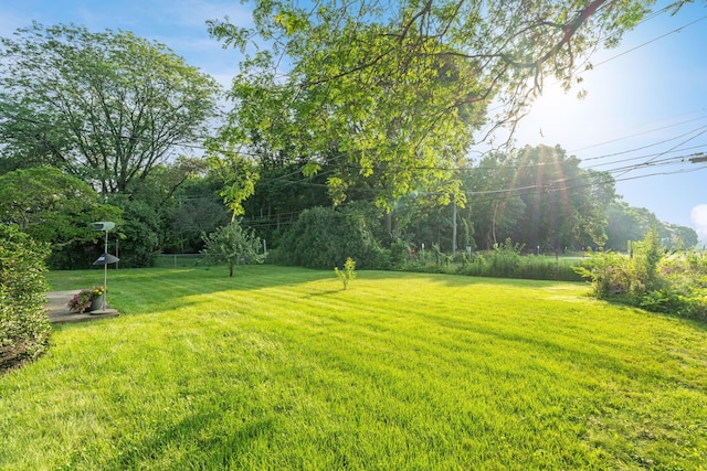 2812 N Star Rd, Columbus, OH 43221 - photo 43