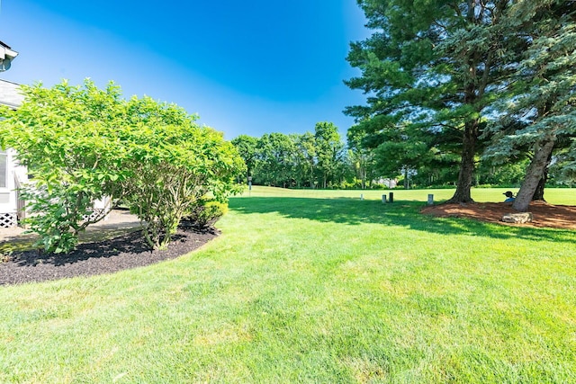5608 Lynx Dr, Westerville, OH 43081 - view of grassy yard