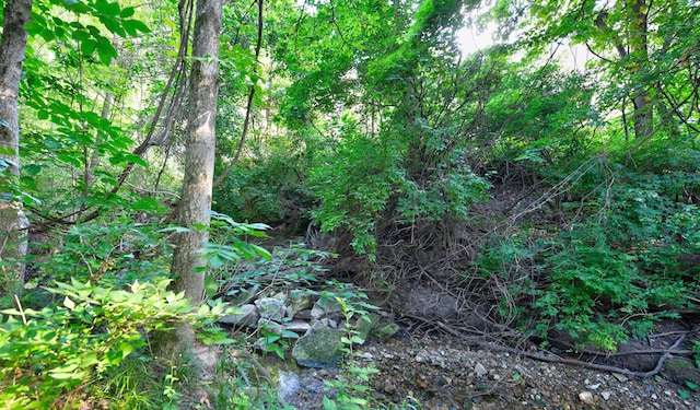 2761-2763 Blendon Woods Blvd, Columbus, OH 43231 - view of local wilderness