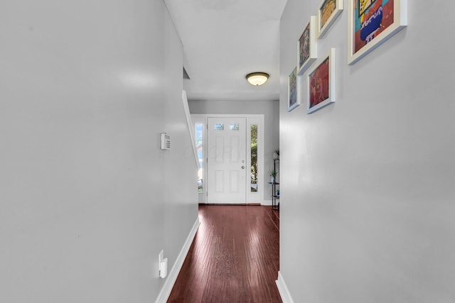 1626 Geranium Dr, Lewis Center, OH 43035 - doorway to outside with baseboards and wood finished floors