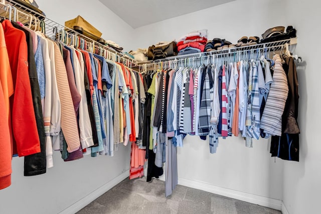 1626 Geranium Dr, Lewis Center, OH 43035 - walk in closet featuring carpet floors