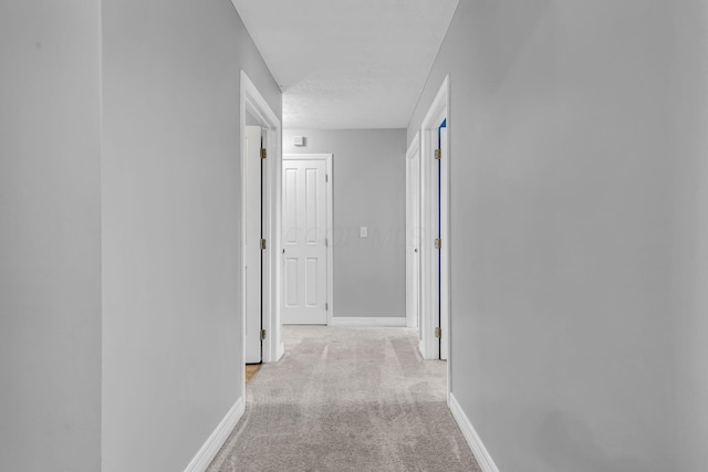 1626 Geranium Dr, Lewis Center, OH 43035 - corridor featuring light colored carpet and baseboards