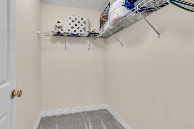 1626 Geranium Dr, Lewis Center, OH 43035 - spacious closet featuring carpet flooring
