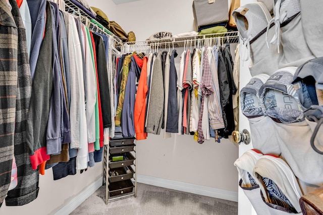 1626 Geranium Dr, Lewis Center, OH 43035 - walk in closet featuring carpet