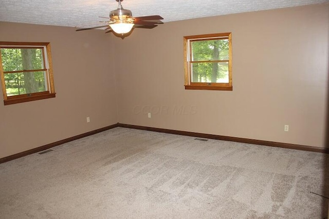 6781 Thoreau Ln NE, Baltimore, OH 43105 - spare room featuring light colored carpet, plenty of natural light, ceiling fan, and a textured ceiling