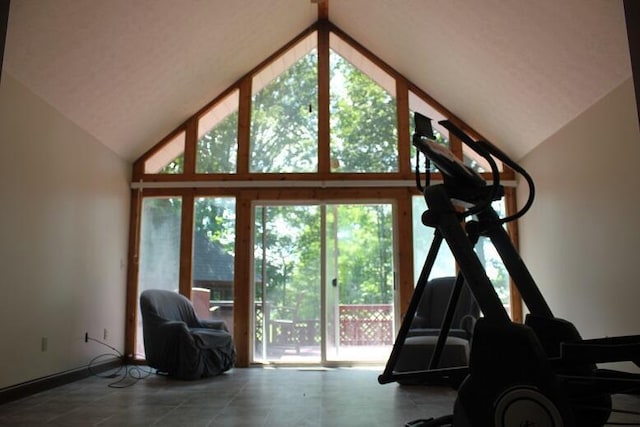 6781 Thoreau Ln NE, Baltimore, OH 43105 - workout room featuring high vaulted ceiling and baseboards