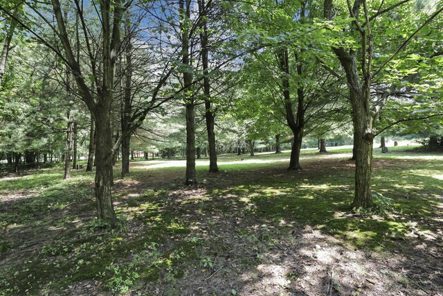 6781 Thoreau Ln NE, Baltimore, OH 43105 - photo 90