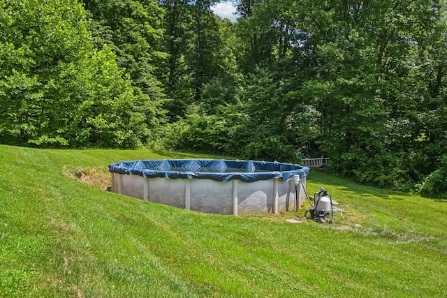 15586 Stump Run, Laurelville, OH 43135 - view of green lawn featuring a covered pool and a forest view