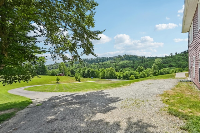 15586 Stump Run, Laurelville, OH 43135 - view of road featuring a forest view