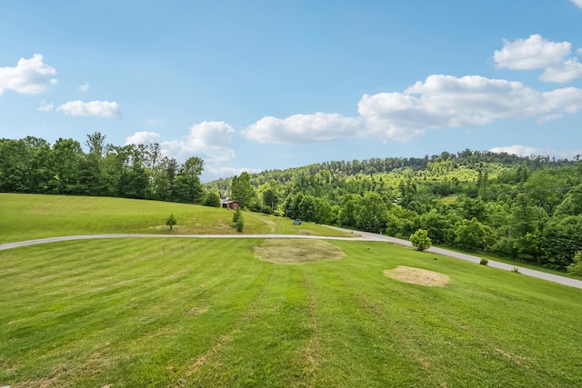 15586 Stump Run, Laurelville, OH 43135 - view of property's community featuring a lawn