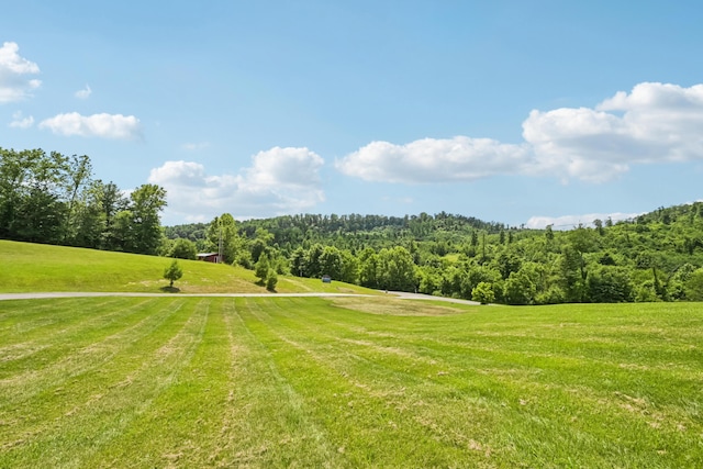 15586 Stump Run, Laurelville, OH 43135 - view of property's community with a yard