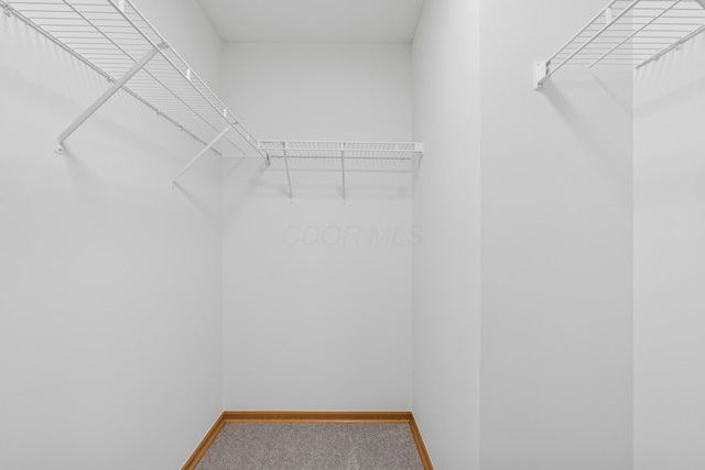 6872 Spring Bloom Dr, Canal Winchester, OH 43110 - walk in closet with carpet flooring