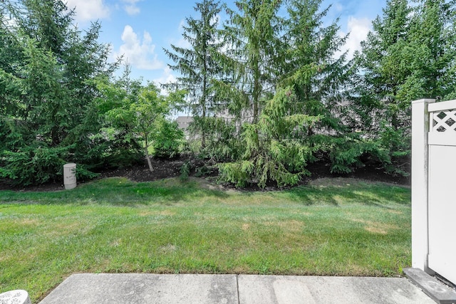 6277 Hudson Reserve Way, Westerville, OH 43081 - view of green lawn