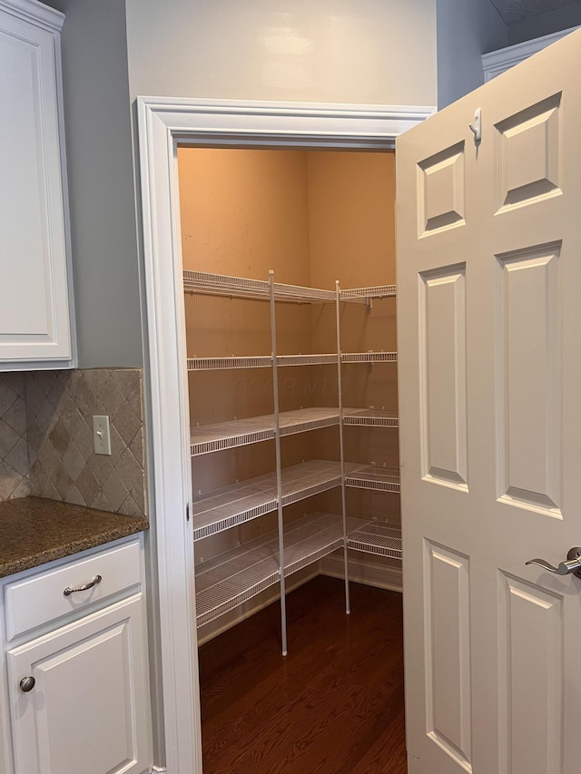 8730 Swisher Creek Xing, New Albany, OH 43054 - view of pantry