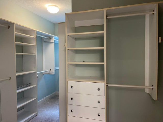 8730 Swisher Creek Xing, New Albany, OH 43054 - walk in closet with carpet flooring