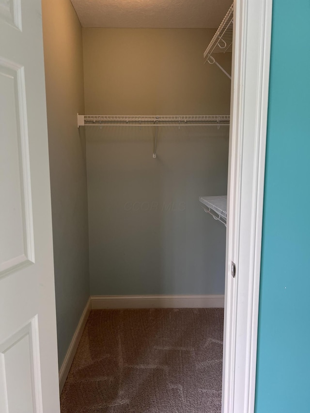 8730 Swisher Creek Xing, New Albany, OH 43054 - spacious closet featuring carpet floors